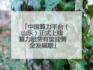 中国算力平台（山东）正式上线 算力租赁有望迎黄金发展期