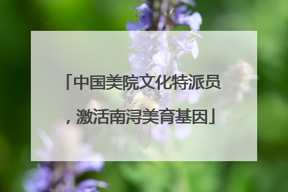 中国美院文化特派员，激活南浔美育基因