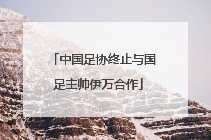 中国足协终止与国足主帅伊万合作