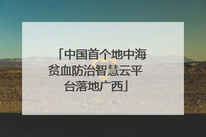 中国首个地中海贫血防治智慧云平台落地广西