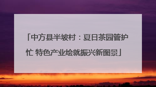 中方县半坡村：夏日茶园管护忙 特色产业绘就振兴新图景