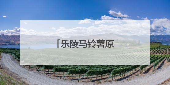 乐陵马铃薯原原种获丰收