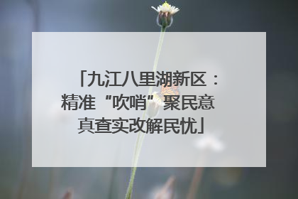 九江八里湖新区：精准“吹哨”聚民意 真查实改解民忧