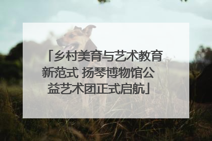 乡村美育与艺术教育新范式 扬琴博物馆公益艺术团正式启航