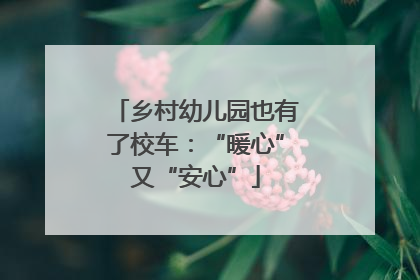 乡村幼儿园也有了校车：“暖心”又“安心”
