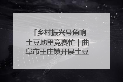 乡村振兴号角响 土豆地里竞赛忙｜曲阜市王庄镇开展土豆收获劳动竞赛