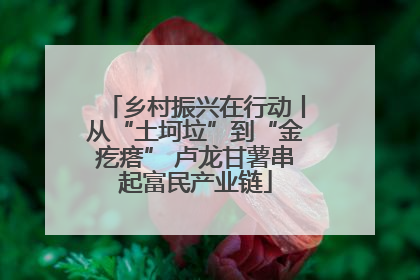 乡村振兴在行动丨从“土坷垃”到“金疙瘩” 卢龙甘薯串起富民产业链