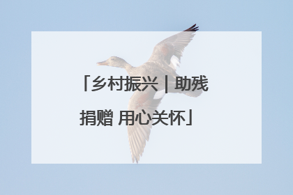 乡村振兴｜助残捐赠 用心关怀