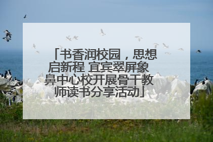 书香润校园，思想启新程 宜宾翠屏象鼻中心校开展骨干教师读书分享活动
