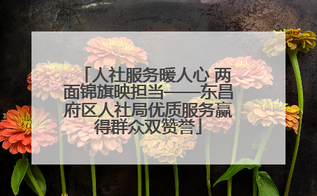 人社服务暖人心 两面锦旗映担当——东昌府区人社局优质服务赢得群众双赞誉