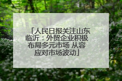 人民日报关注山东临沂：外贸企业积极布局多元市场 从容应对市场波动