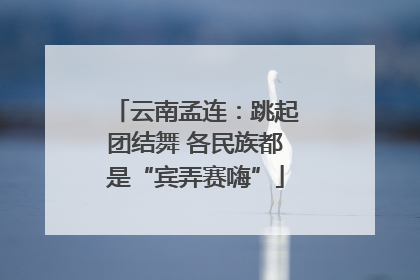云南孟连：跳起团结舞 各民族都是“宾弄赛嗨”