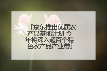 京东推出优质农产品基地计划 今年将深入超百个特色农产品产业带