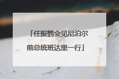 任振鹤会见尼泊尔前总统班达里一行