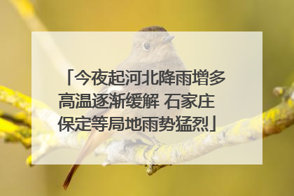 今夜起河北降雨增多高温逐渐缓解 石家庄保定等局地雨势猛烈