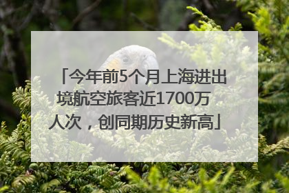 今年前5个月上海进出境航空旅客近1700万人次，创同期历史新高