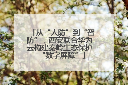 从“人防”到“智防”，西安联合华为云构建秦岭生态保护“数字屏障”