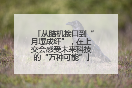 从脑机接口到“月壤成纤”，在上交会感受未来科技的“万种可能”
