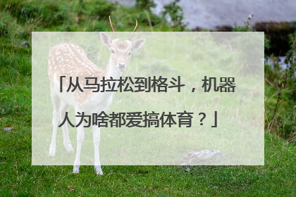从马拉松到格斗，机器人为啥都爱搞体育？
