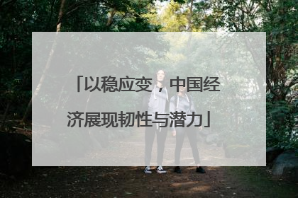 以稳应变，中国经济展现韧性与潜力