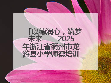 以德润心，筑梦未来——2025年浙江省衢州市龙游县小学师德培训圆满落幕