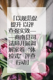 以规范促提升 以评查强实效——商南县司法局开展调解案卷“体检式”评查行动