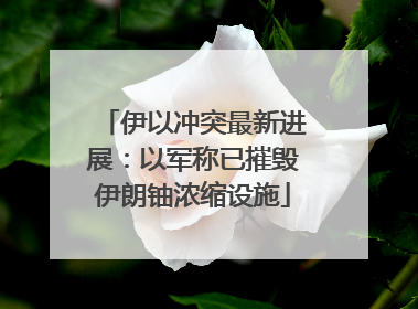 伊以冲突最新进展：以军称已摧毁伊朗铀浓缩设施