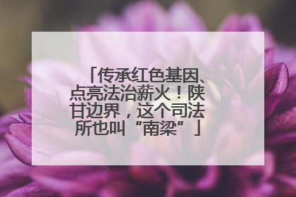 传承红色基因、点亮法治薪火！陕甘边界，这个司法所也叫“南梁”