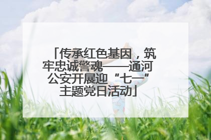 传承红色基因，筑牢忠诚警魂——通河公安开展迎“七一”主题党日活动