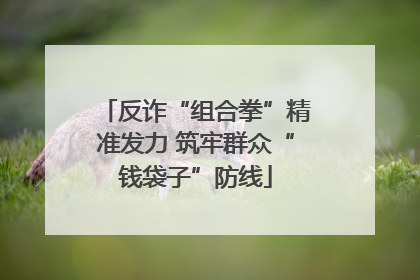 反诈“组合拳”精准发力 筑牢群众“钱袋子”防线