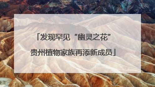 发现罕见“幽灵之花” 贵州植物家族再添新成员
