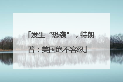 发生“恐袭”，特朗普：美国绝不容忍