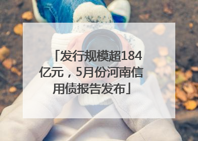 发行规模超184亿元，5月份河南信用债报告发布
