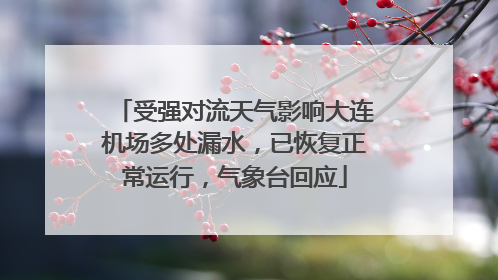 受强对流天气影响大连机场多处漏水，已恢复正常运行，气象台回应