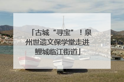 古城“寻宝”！泉州世遗文保学堂走进鲤城临江街道