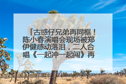 古惑仔兄弟再同框！陈小春演唱会现场被郑伊健感动落泪，二人合唱《一起冲一起闯》再现青春回忆