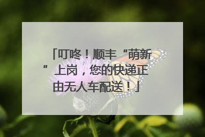 叮咚！顺丰“萌新”上岗，您的快递正由无人车配送！