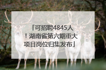 可招聘4845人！湖南省第六期重大项目岗位归集发布