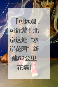 可远观，可近游！北京这处“水岸花园”新建62公里花墙
