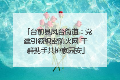 台前县凤台街道：党建引领织密防火网 干群携手共护家园安