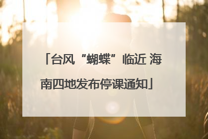 台风“蝴蝶”临近 海南四地发布停课通知