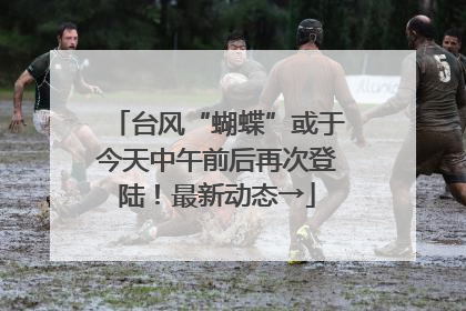 台风“蝴蝶”或于今天中午前后再次登陆！最新动态→