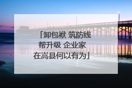 卸包袱 筑防线 帮升级 企业家在嵩县何以有为