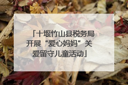 十堰竹山县税务局开展“爱心妈妈”关爱留守儿童活动