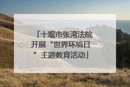 十堰市张湾法院开展“世界环境日”主题教育活动