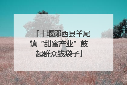 十堰郧西县羊尾镇“甜蜜产业”鼓起群众钱袋子
