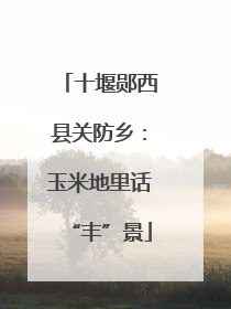 十堰郧西县关防乡：玉米地里话“丰”景