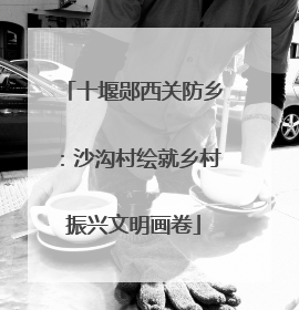 十堰郧西关防乡：沙沟村绘就乡村振兴文明画卷