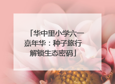 华中里小学六一嘉年华：种子旅行解锁生态密码