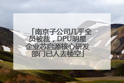 南京子公司几乎全员被裁，DPU明星企业芯启源核心研发部门已人去楼空